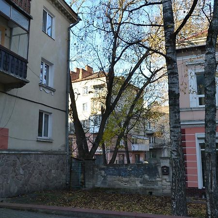 Catedra View Apartment Ternopil Kültér fotó