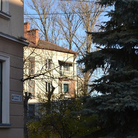 Catedra View Apartment Ternopil Kültér fotó