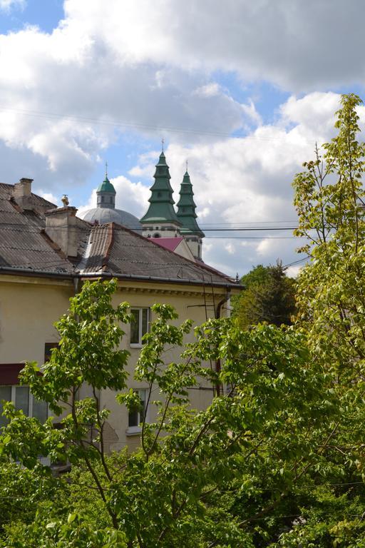 Catedra View Apartment Ternopil Kültér fotó