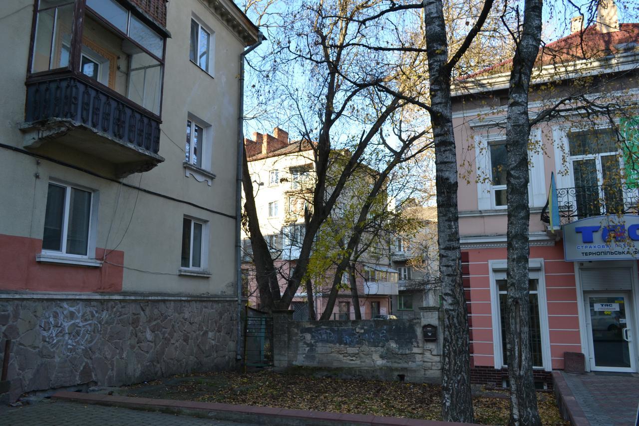 Catedra View Apartment Ternopil Kültér fotó